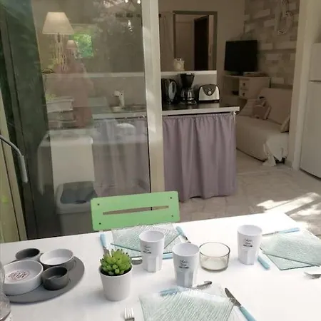 Rez De Jardin A Apartament Sainte-Maxime