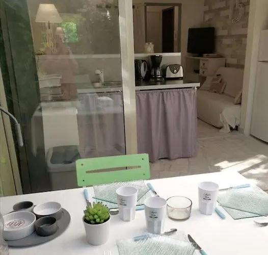 Rez De Jardin A Appartement Sainte-Maxime
